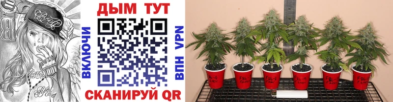 Магазины продажи наркотиков Чекалин A PVP Бошки Шишки Кокаин Мефедрон Гашиш