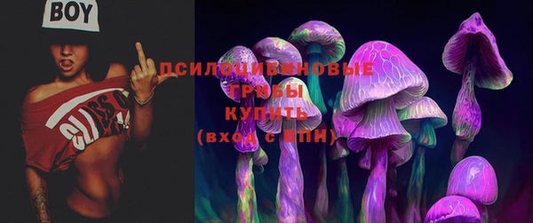 СК Переславль-Залесский
