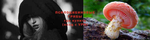 стаф Пестово