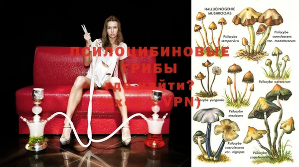 стаф Пестово